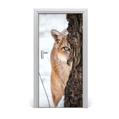 Fototapeta samolepící na dveře horská puma