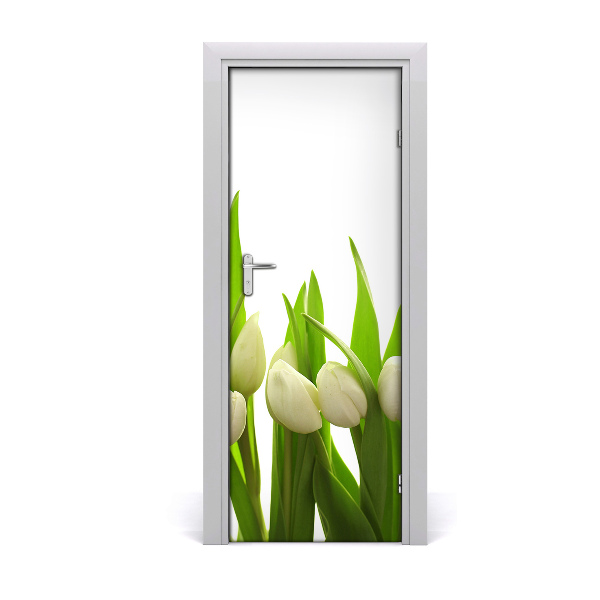 Fototapeta na dveře Bílé tulipány
