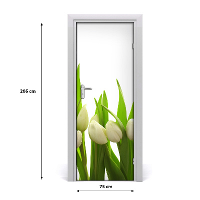 Fototapeta na dveře Bílé tulipány