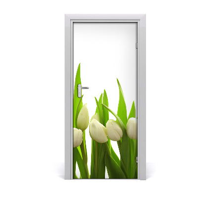 Fototapeta na dveře Bílé tulipány