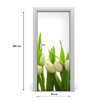 Fototapeta na dveře Bílé tulipány