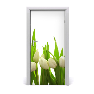 Fototapeta na dveře Bílé tulipány