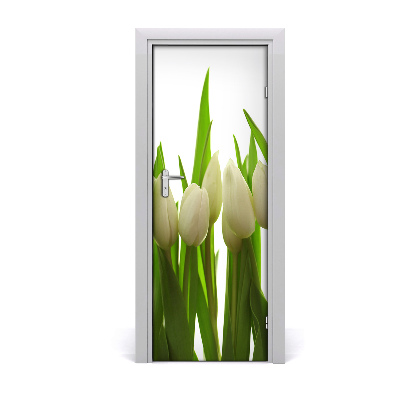 Fototapeta na dveře Bílé tulipány