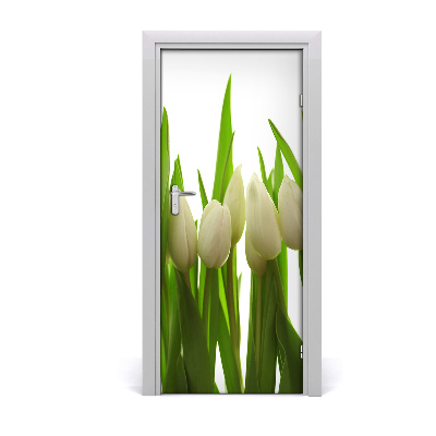 Fototapeta na dveře Bílé tulipány