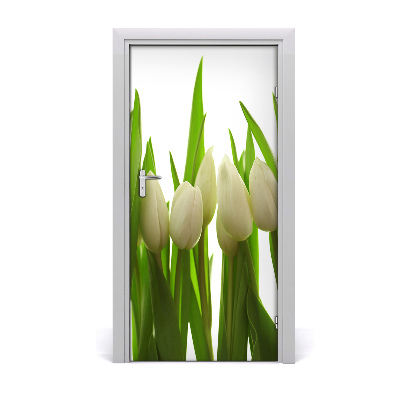 Fototapeta na dveře Bílé tulipány