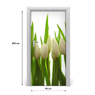 Fototapeta na dveře Bílé tulipány