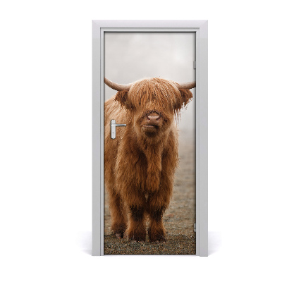 Fototapeta samolepící na dveře krávy kopec