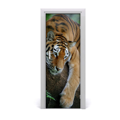 Samolepící fototapeta na dveře tygr na stromě