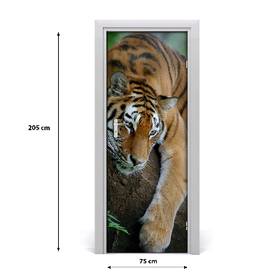 Samolepící fototapeta na dveře tygr na stromě
