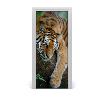 Samolepící fototapeta na dveře tygr na stromě