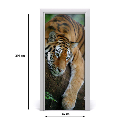 Samolepící fototapeta na dveře tygr na stromě