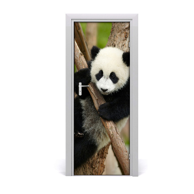 Samolepící fototapeta na dveře Panda na stromě