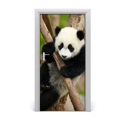 Samolepící fototapeta na dveře Panda na stromě