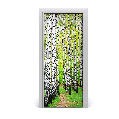 Fototapeta na dveře břízový les