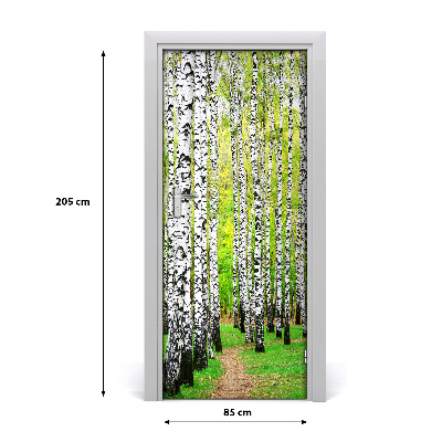 Fototapeta na dveře břízový les