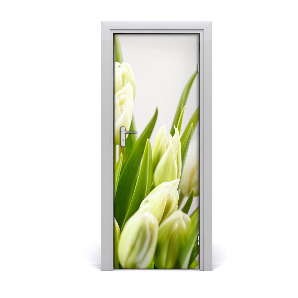 Fototapeta na dveře Bílé tulipány