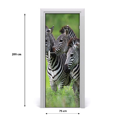 Samolepící fototapeta na dveře Tři zebry