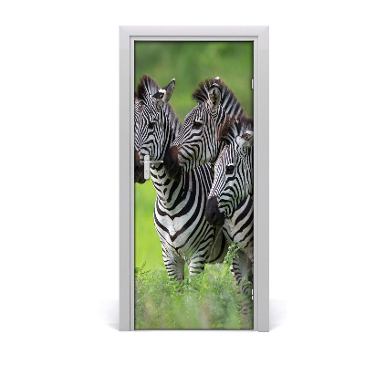Samolepící fototapeta na dveře Tři zebry