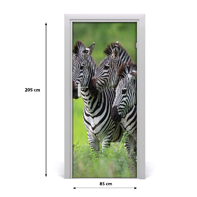 Samolepící fototapeta na dveře Tři zebry