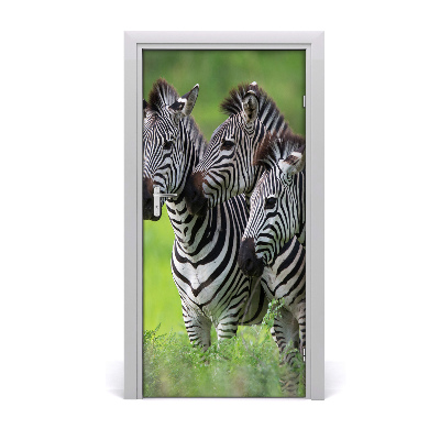 Samolepící fototapeta na dveře Tři zebry