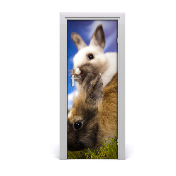Samolepící fototapeta na dveře Dva králíci