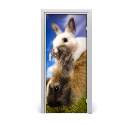 Samolepící fototapeta na dveře Dva králíci