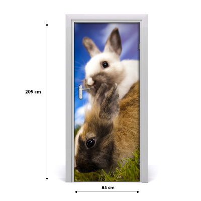 Samolepící fototapeta na dveře Dva králíci