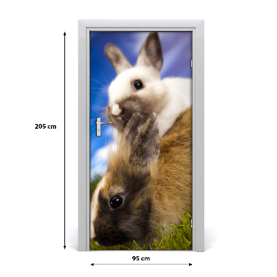 Samolepící fototapeta na dveře Dva králíci