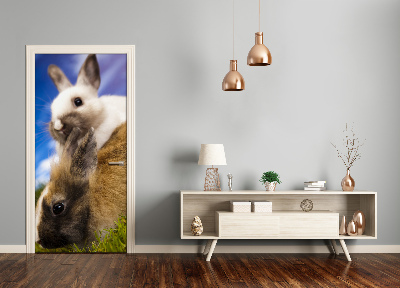 Samolepící fototapeta na dveře Dva králíci