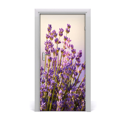 Fototapeta na dveře Levandule
