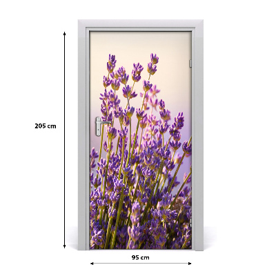 Fototapeta na dveře Levandule