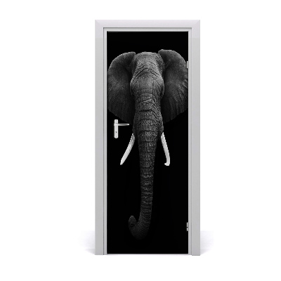 Samolepící fototapeta na dveře Africký slon