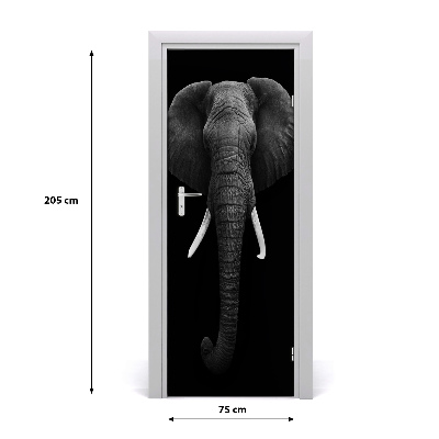 Samolepící fototapeta na dveře Africký slon