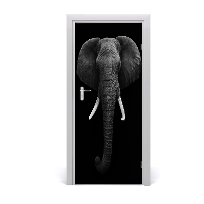 Samolepící fototapeta na dveře Africký slon