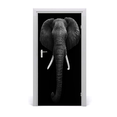 Samolepící fototapeta na dveře Africký slon