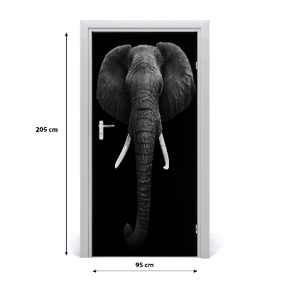 Samolepící fototapeta na dveře Africký slon