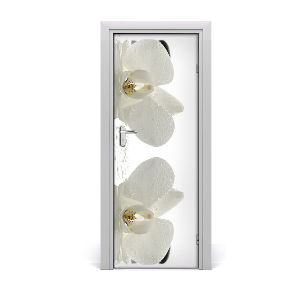 Fototapeta samolepící Orchidej a kamení