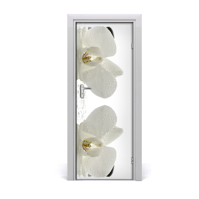Fototapeta samolepící Orchidej a kamení