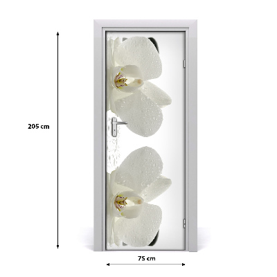 Fototapeta samolepící Orchidej a kamení