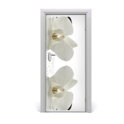 Fototapeta samolepící Orchidej a kamení