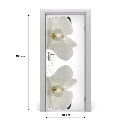 Fototapeta samolepící Orchidej a kamení