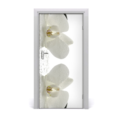 Fototapeta samolepící Orchidej a kamení