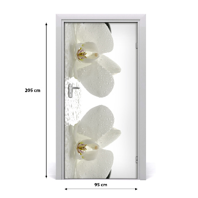 Fototapeta samolepící Orchidej a kamení