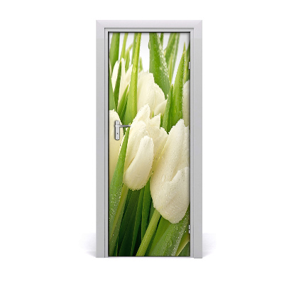 Fototapeta samolepící Bílé tulipány