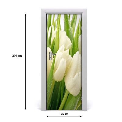 Fototapeta samolepící Bílé tulipány