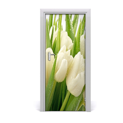 Fototapeta samolepící Bílé tulipány