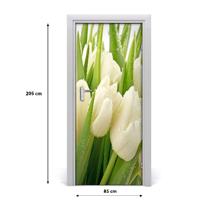 Fototapeta samolepící Bílé tulipány