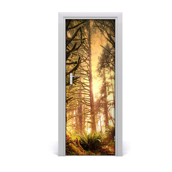 Fototapeta na dveře deštný les