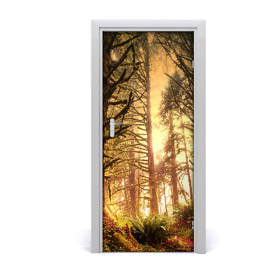 Fototapeta na dveře deštný les