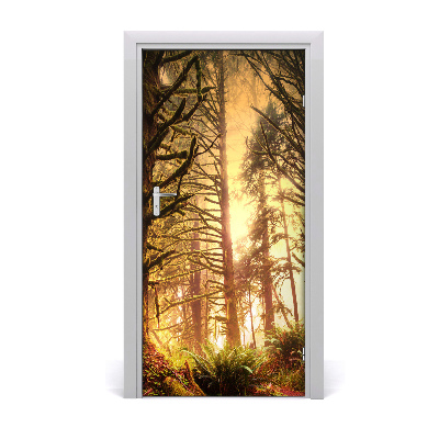 Fototapeta na dveře deštný les